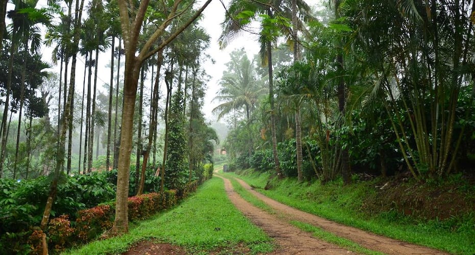 Serene Homestay Coorg, Coorg 3